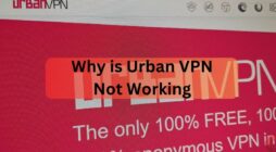 Why is Urban VPN Not Working